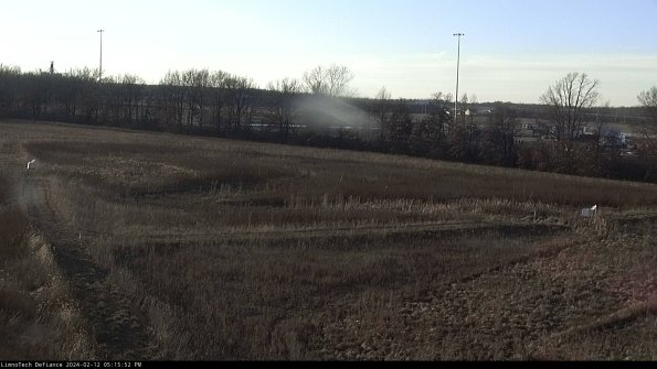 Cell 2_24-02-12_17-15-52-95