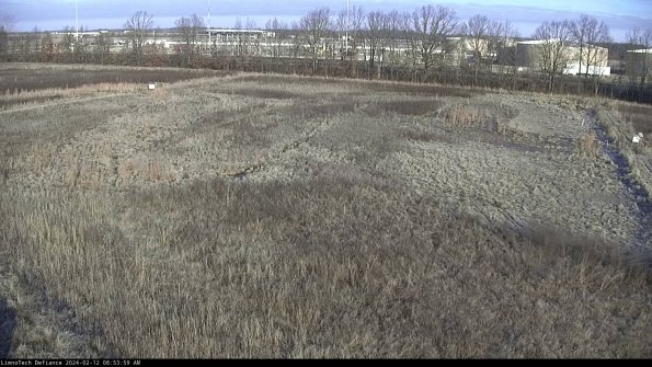 Cell 3_24-02-12_08-53-59-99