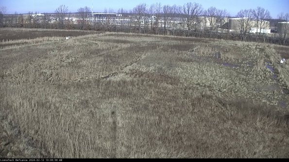 Cell 3_24-02-12_10-00-58-92