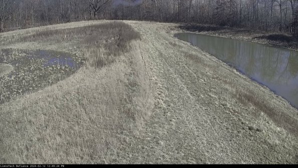 Cell 4 to Basin_24-02-12_12-49-24-93