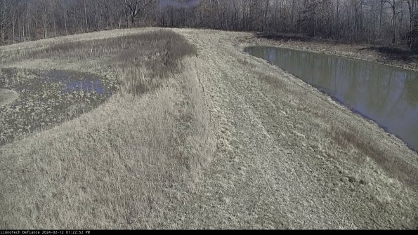 Cell 4 to Basin_24-02-12_13-22-52-91