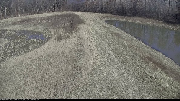 Cell 4 to Basin_24-02-12_13-56-21-96