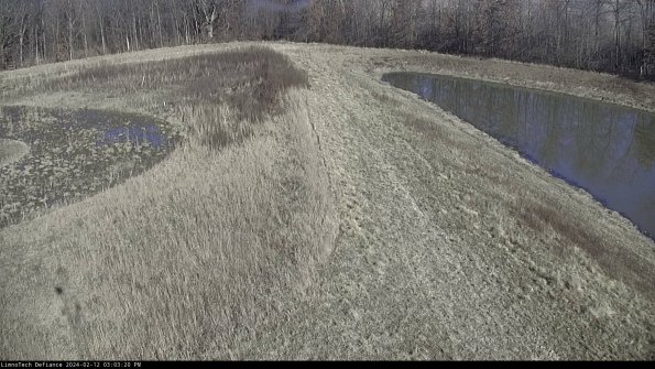 Cell 4 to Basin_24-02-12_15-03-20-93