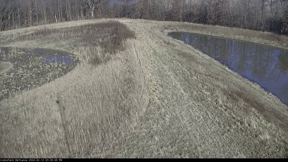 Cell 4 to Basin_24-02-12_15-36-49-95