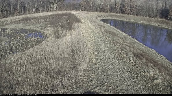 Cell 4 to Basin_24-02-12_16-43-48-95