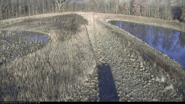 Cell 4 to Basin_24-02-12_17-17-18-97