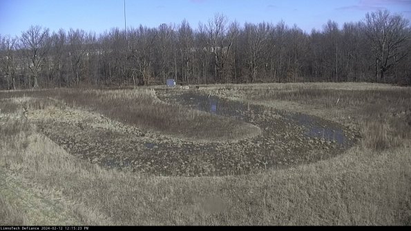 Cell 4_24-02-12_12-15-23-91