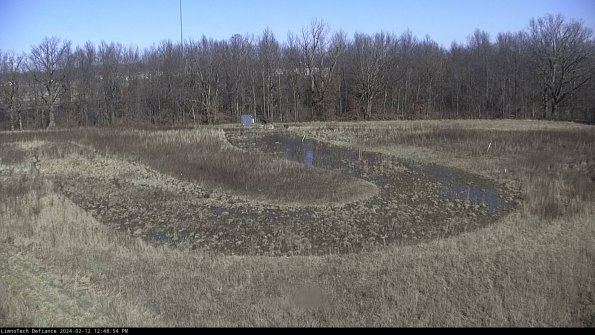 Cell 4_24-02-12_12-48-54-93