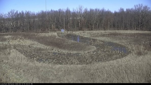 Cell 4_24-02-12_13-55-51-93