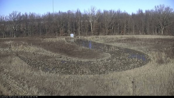 Cell 4_24-02-12_15-36-19-95