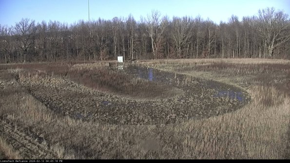 Cell 4_24-02-12_16-43-18-92