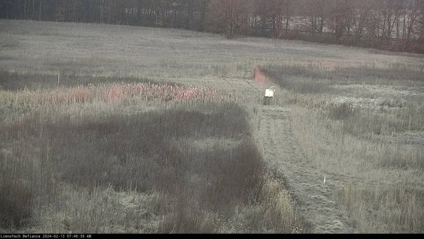 Cell 1 to 2_24-02-13_07-46-30-92