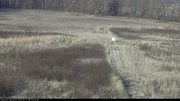 Cell 1 to 2_24-02-13_08-53-28-94