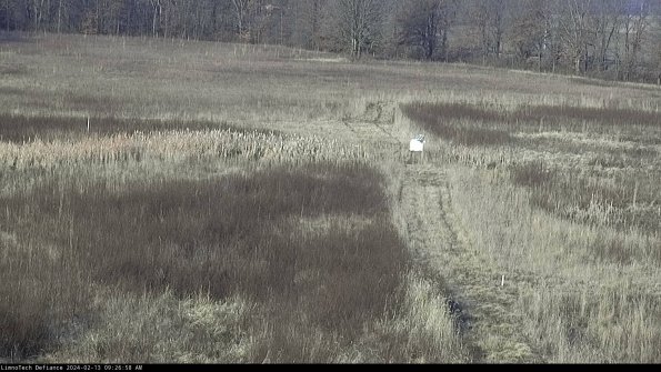 Cell 1 to 2_24-02-13_09-26-58-96