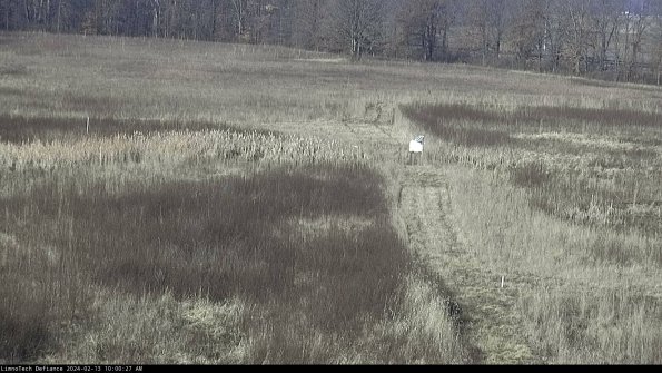 Cell 1 to 2_24-02-13_10-00-27-91