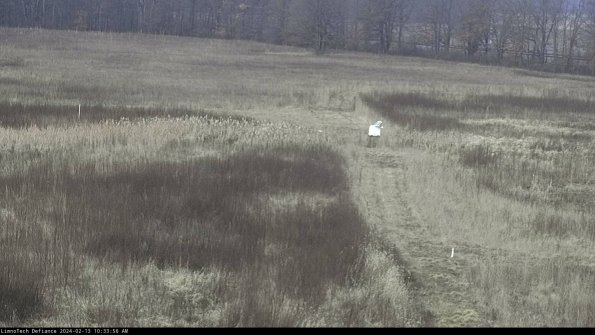 Cell 1 to 2_24-02-13_10-33-56-92