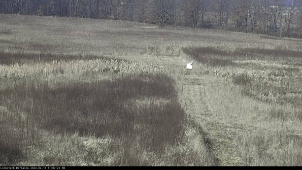 Cell 1 to 2_24-02-13_11-07-25-94