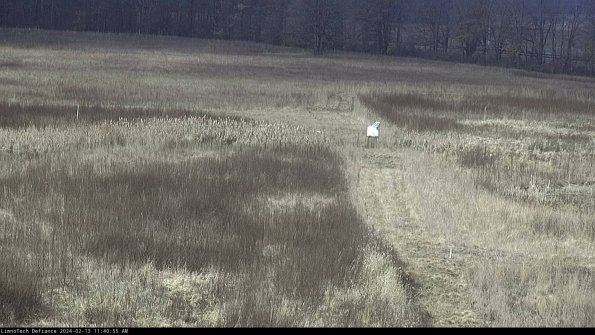 Cell 1 to 2_24-02-13_11-40-55-92