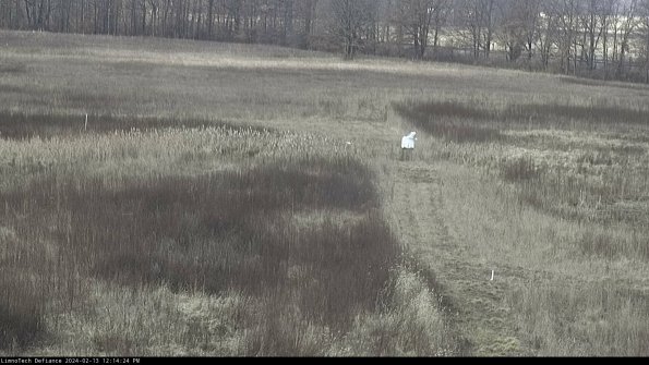 Cell 1 to 2_24-02-13_12-14-24-90