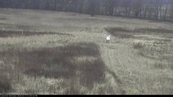 Cell 1 to 2_24-02-13_12-47-53-92