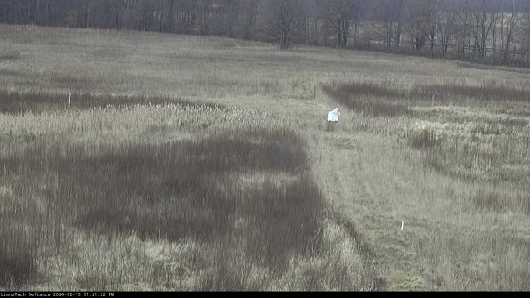 Cell 1 to 2_24-02-13_13-21-22-90