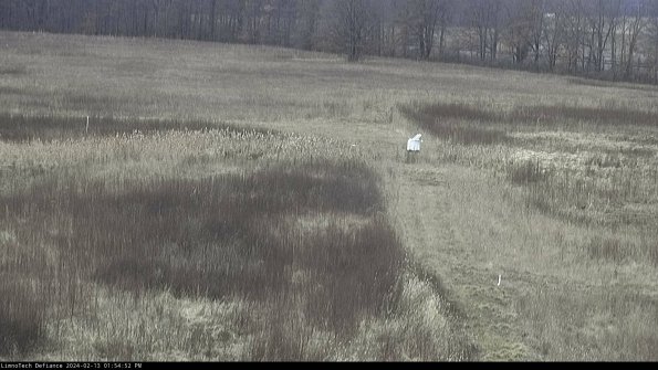 Cell 1 to 2_24-02-13_13-54-52-92