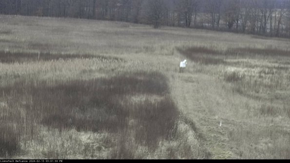 Cell 1 to 2_24-02-13_15-01-50-92