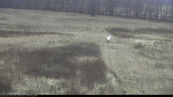 Cell 1 to 2_24-02-13_15-35-20-93