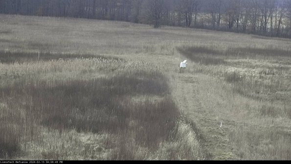 Cell 1 to 2_24-02-13_16-08-49-95