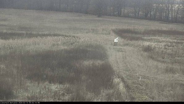 Cell 1 to 2_24-02-13_16-42-19-93