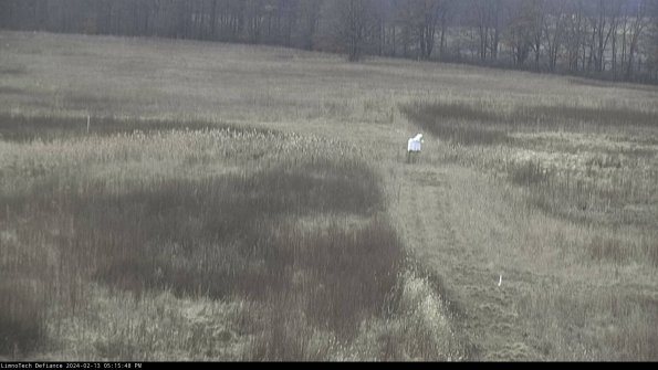 Cell 1 to 2_24-02-13_17-15-48-95