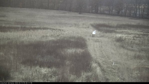 Cell 1 to 2_24-02-13_17-49-17-93