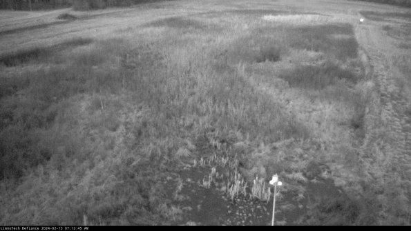 Cell 1_24-02-13_07-12-45-93