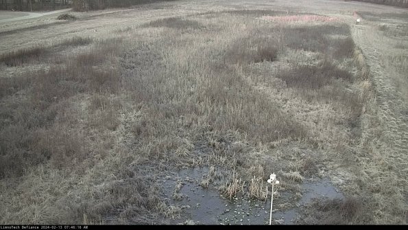 Cell 1_24-02-13_07-46-16-94