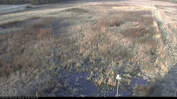 Cell 1_24-02-13_08-19-46-95