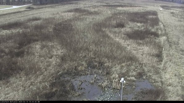 Cell 1_24-02-13_10-33-42-91