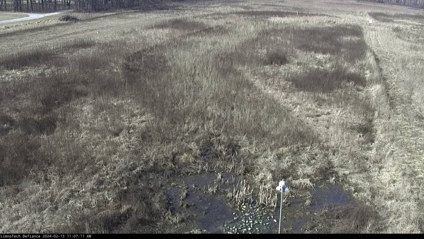 Cell 1_24-02-13_11-07-11-92