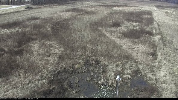 Cell 1_24-02-13_11-40-41-91