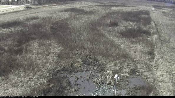 Cell 1_24-02-13_12-14-10-92