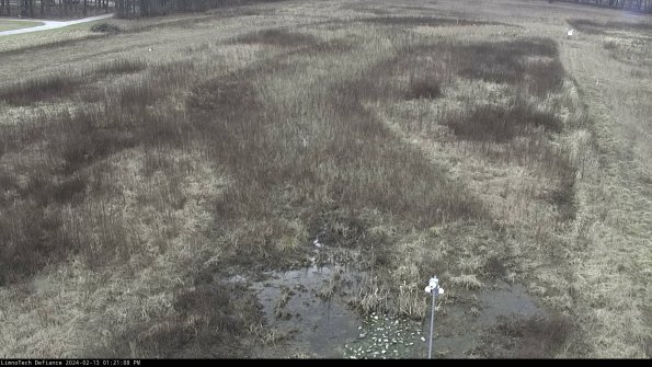 Cell 1_24-02-13_13-21-08-92