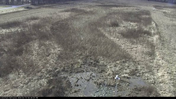 Cell 1_24-02-13_14-28-07-96