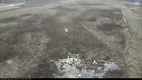 Cell 1_24-02-13_16-42-05-92