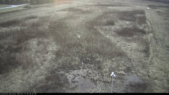 Cell 1_24-02-13_17-49-03-95