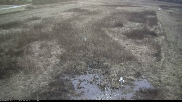 Cell 1_24-02-13_18-22-32-93