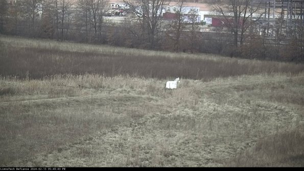 Cell 2 to 3_24-02-13_17-49-44-15