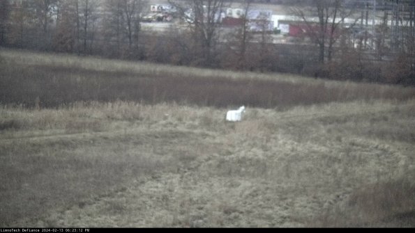 Cell 2 to 3_24-02-13_18-23-12-97