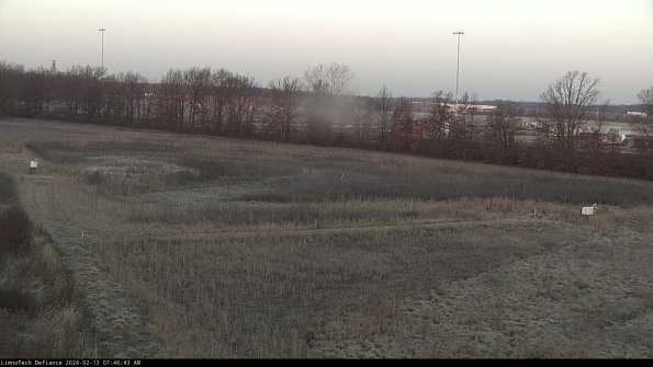 Cell 2_24-02-13_07-46-43-97