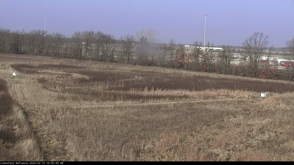 Cell 2_24-02-13_10-00-40-99