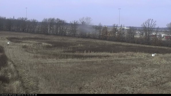 Cell 2_24-02-13_10-34-09-94