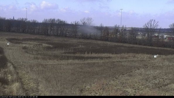 Cell 2_24-02-13_11-41-08-97